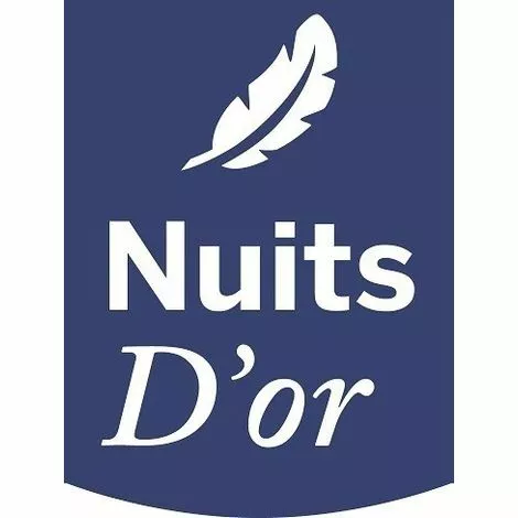 NUITS D'OR Matelas 90x190 Mousse Haute Résilience Densité 35 Kg/m3 - Hauteur 21 Cm Ferme + Oreiller Mémoire De Forme + Protège Matelas OFFERT Goodnight 90 190 2 NUITS D'OR Matelas 90x190 Mousse Haute Résilience Densité 35 Kg/m3 - Hauteur 21 Cm Ferme + Oreiller Mémoire De Forme + Protège Matelas OFFERT Goodnight 90 190 – Image 2